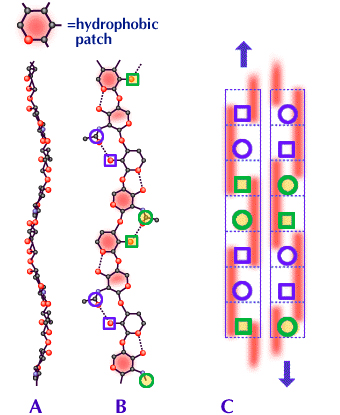 fig4