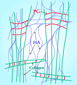 fig5