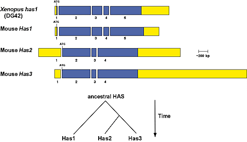 fig3