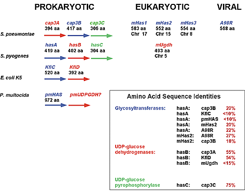 図4