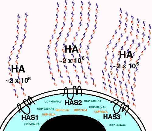 図5