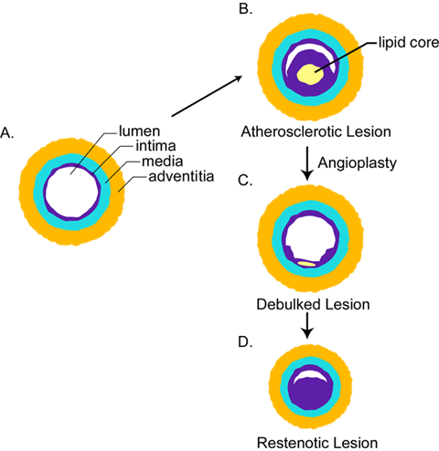 Fig1