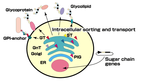 fig1