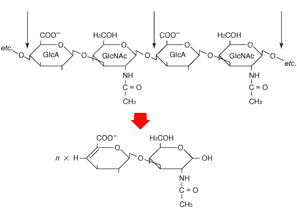 fig1