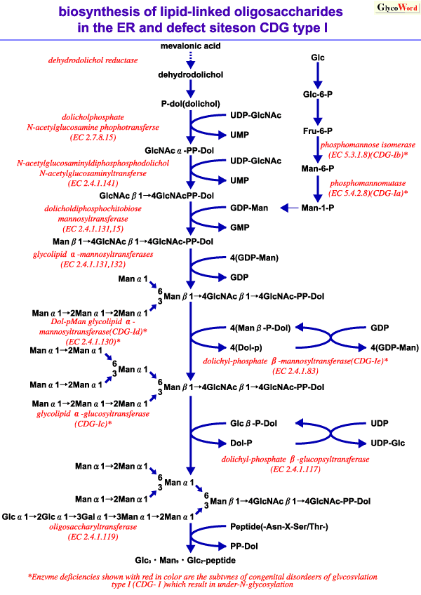 fig1