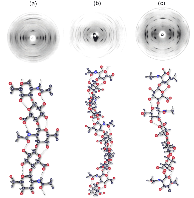 fig1