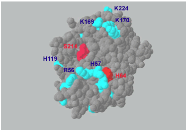 fig3