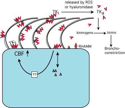 fig8