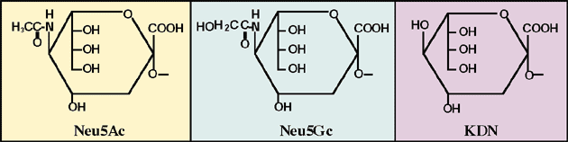 fig1.gif