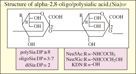 fig2.gif