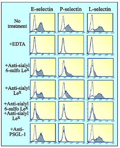 fig4.gif