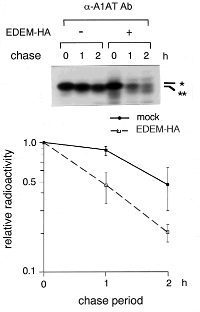 fig3.gif