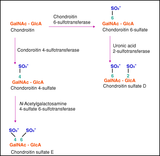 fig4