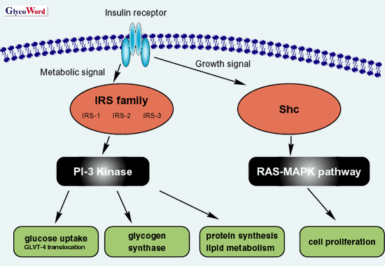 fig1