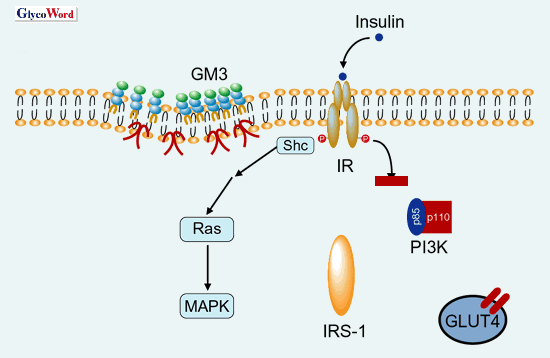 fig2