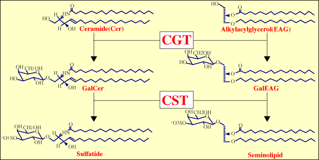 fig2