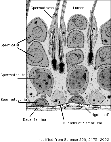 fig4