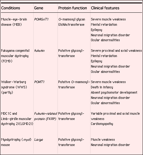 table1