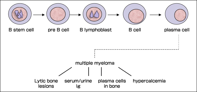 fig2