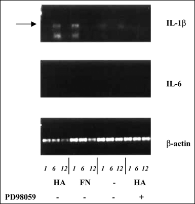 fig8