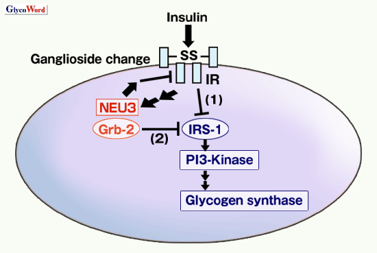 fig1