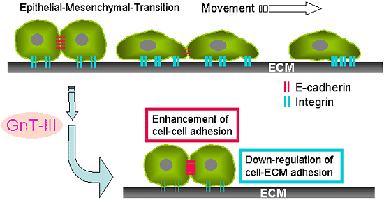 fig3