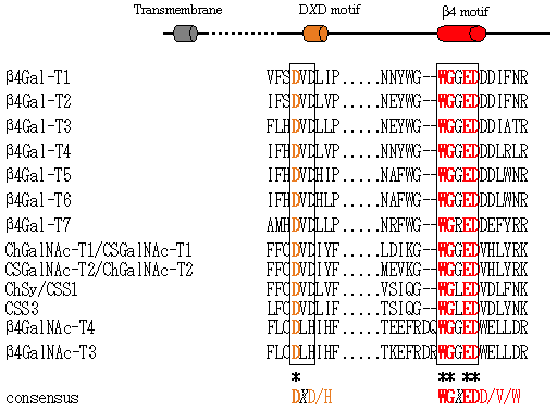 fig2