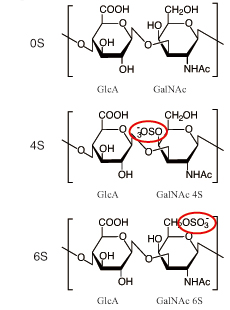 fig1