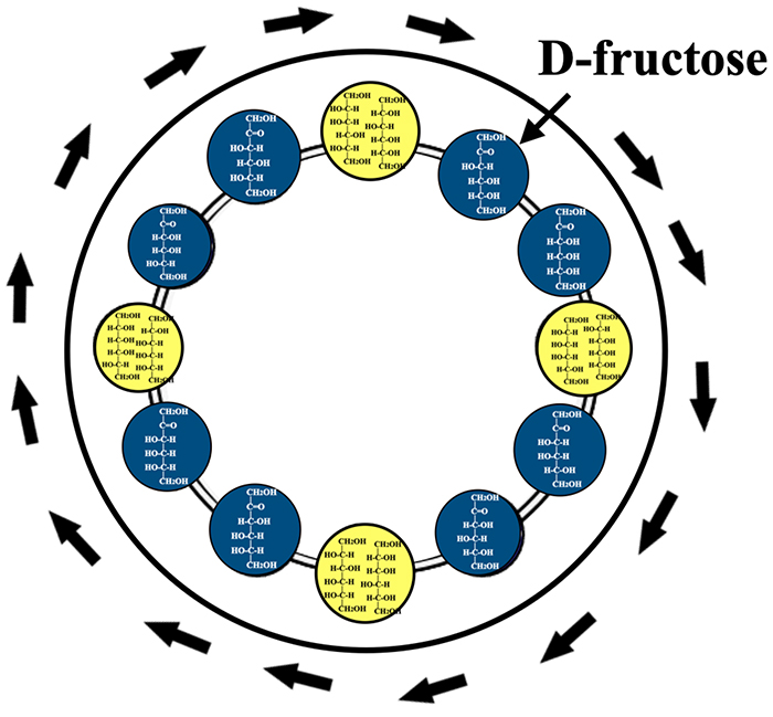 図9