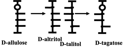 図17