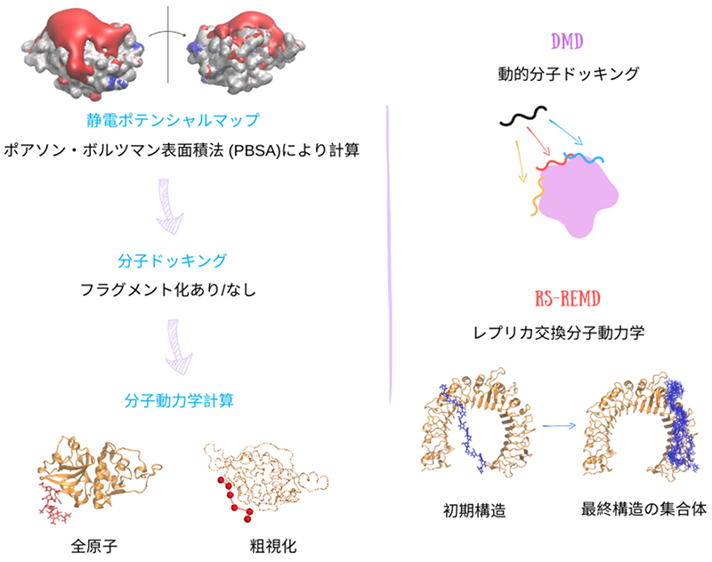 図4