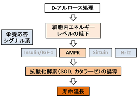 図2