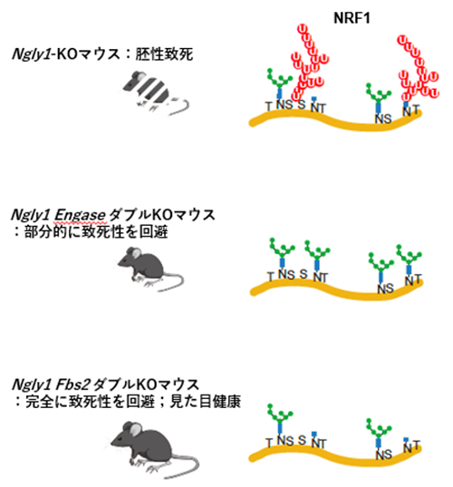 図2